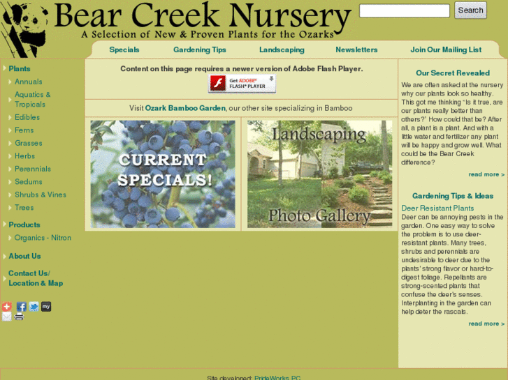 www.bearcreeknursery.net