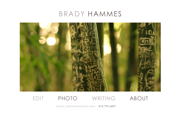 www.bradyhammes.com