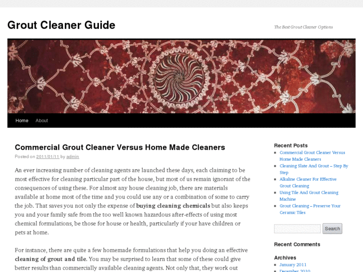 www.groutcleanerguide.com