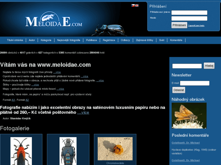 www.meloidae.com