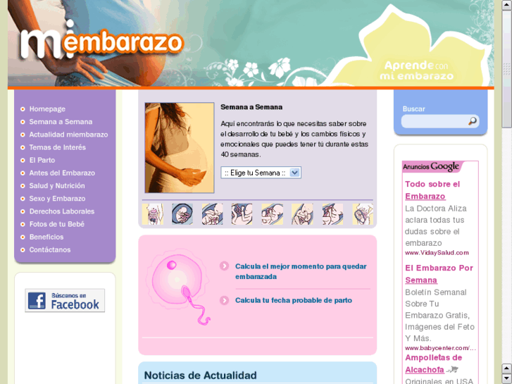 www.miembarazo.cl