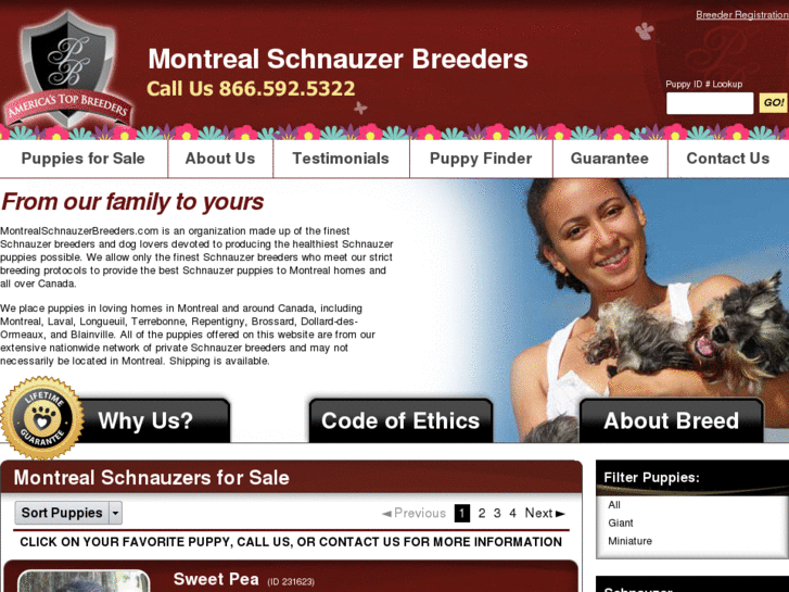 www.montrealschnauzerbreeders.com