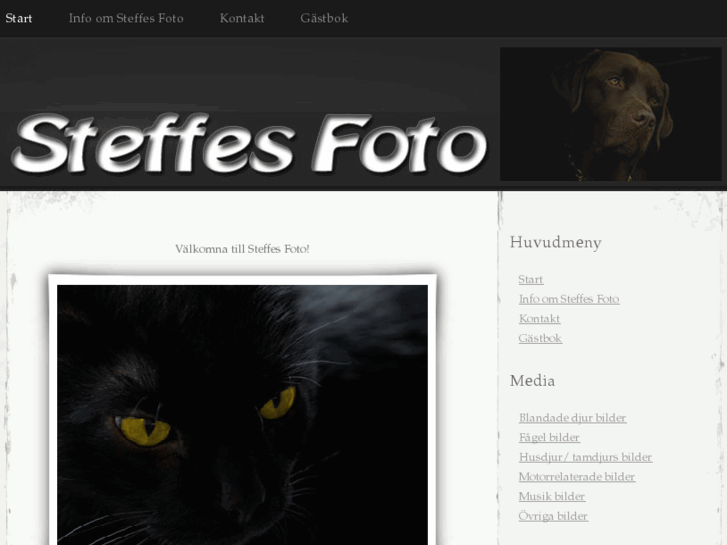 www.steffesfoto.com