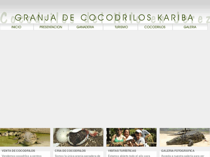 www.cocodrilosjerez.com