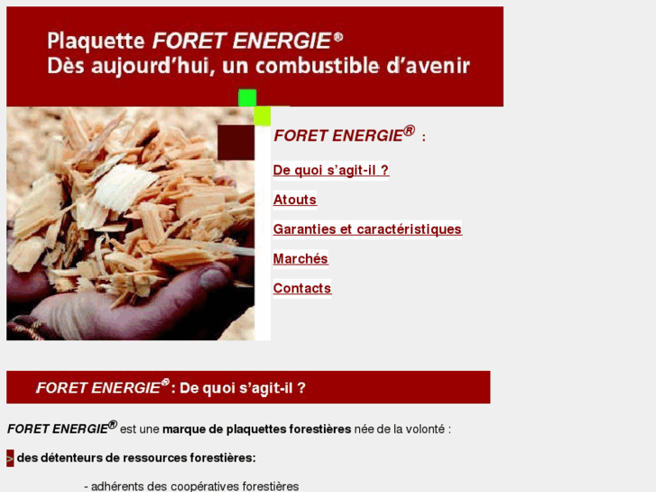 www.foretenergie.com