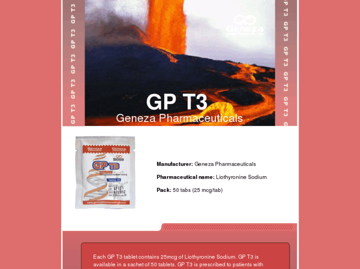 www.gp-t3.net