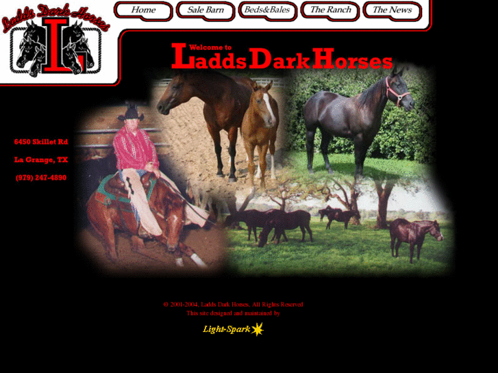 www.laddsdarkhorses.com