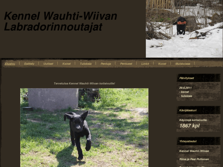 www.wauhti-wiivan.com