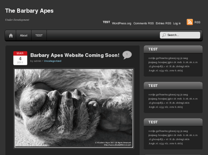 www.barbaryapes.com