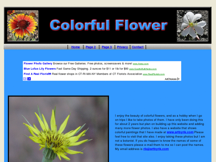 www.colorfulflower.com