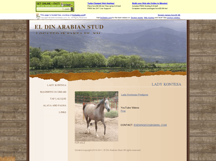 www.eldinarabianstud.com