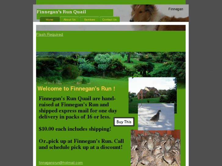 www.finnegansrunquail.com