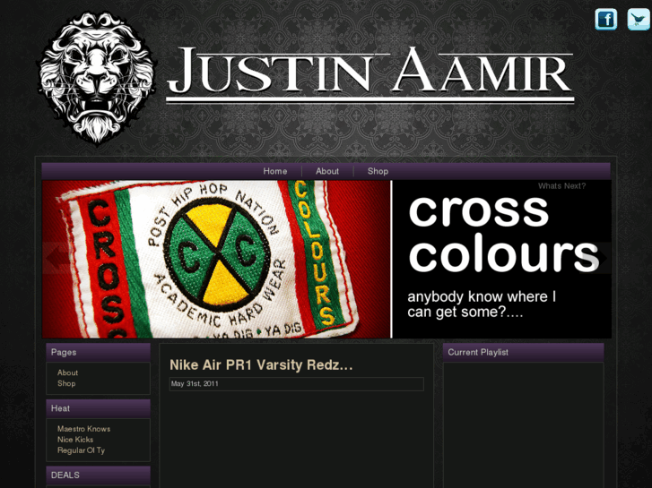 www.justinaamir.com