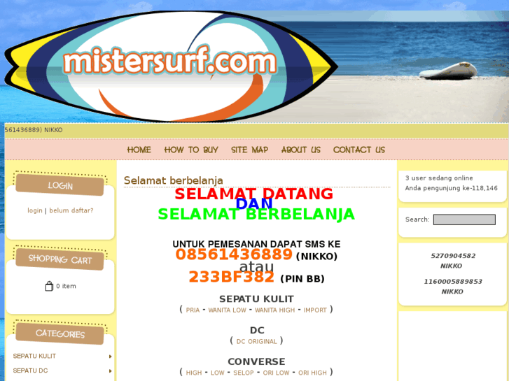 www.mistersurf.com