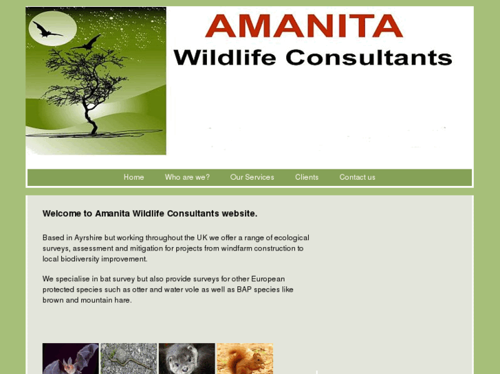 www.amanitawildlife.com