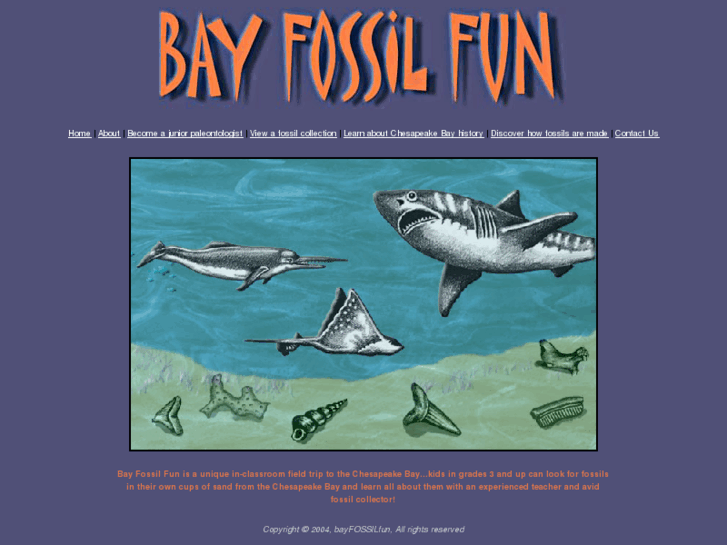 www.bayfossilfun.com