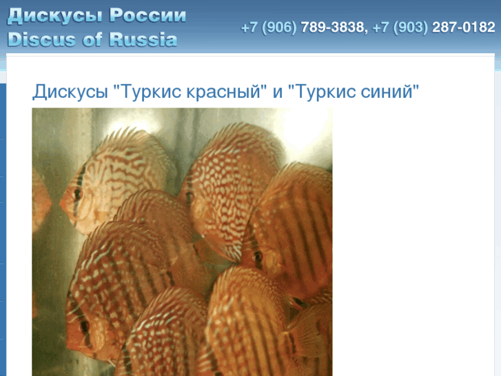 www.discus-rus.com