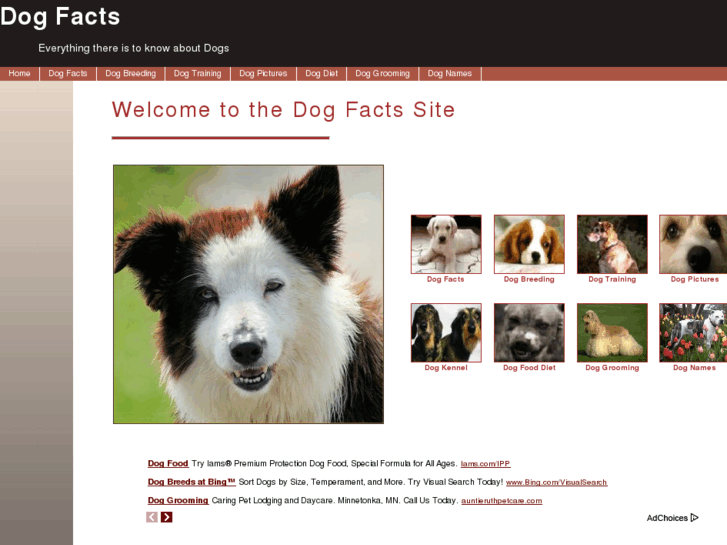 www.dogfacts.org