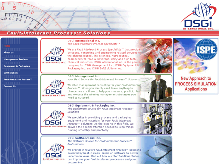 www.dsgiint.com