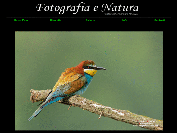 www.fotografiaenatura.net