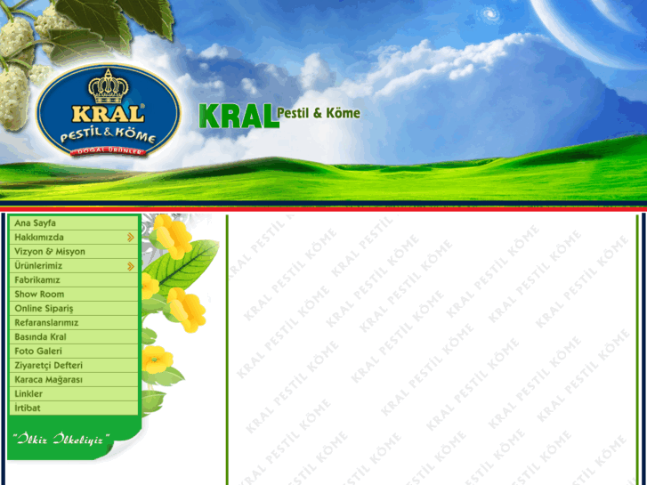 www.kralpestil.com