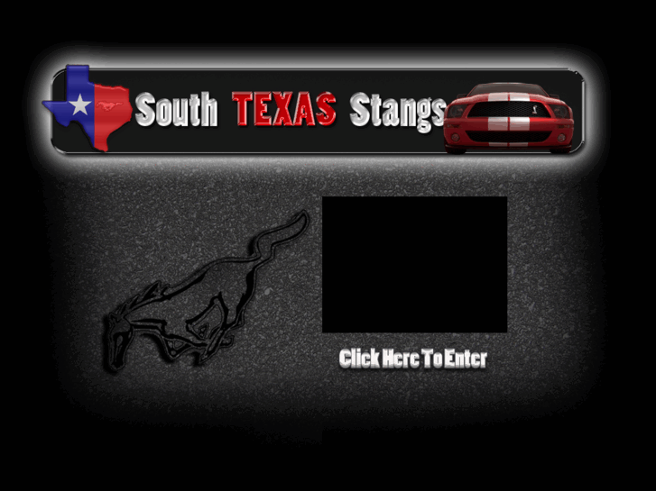 www.southtexasstangs.com