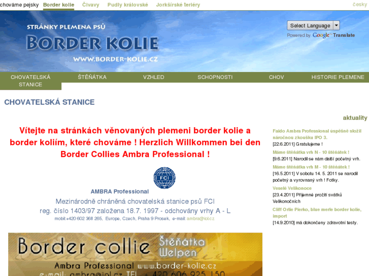 www.border-kolie.cz