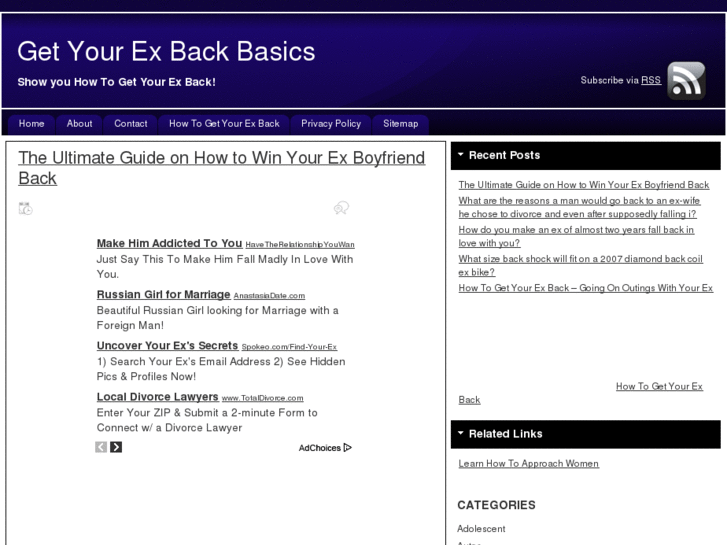 www.getyourexbackbasics.info