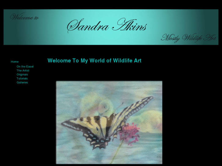 www.sandraakins.com