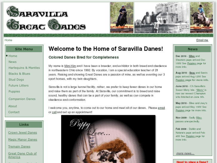 www.saravillagreatdanes.com