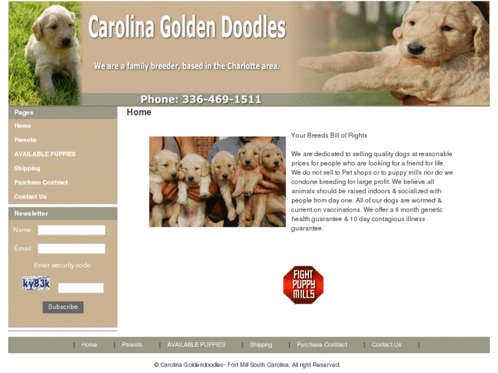 www.carolinagoldendoodle.com