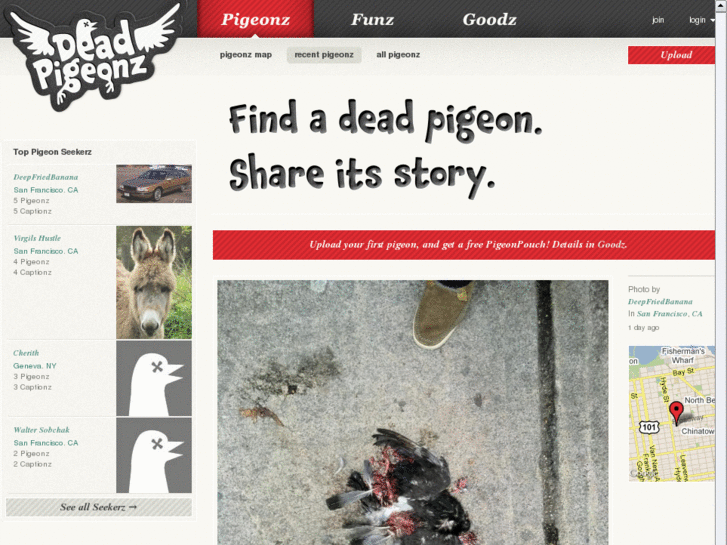 www.deadpigeonz.com