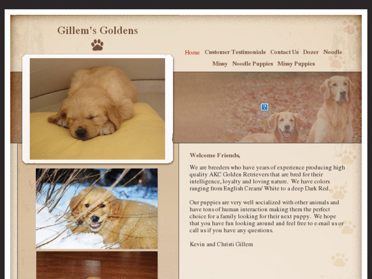 www.gillemsgoldens.com