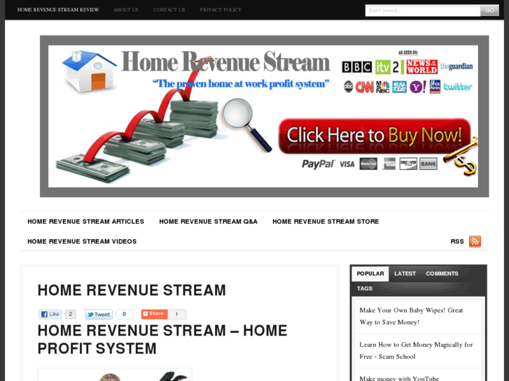 www.homerevenuestreamreview.com