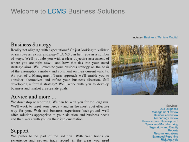 www.lcmsbusinesssolutions.com