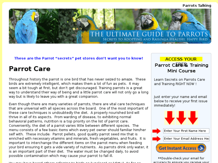 www.parrotstalking.com