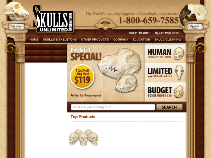 www.skullsunlimitedinternational.com