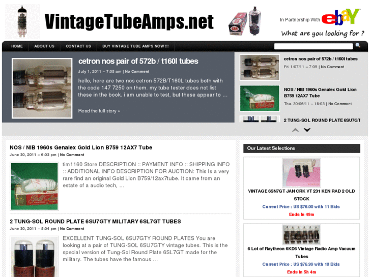 www.vintagetubeamps.net