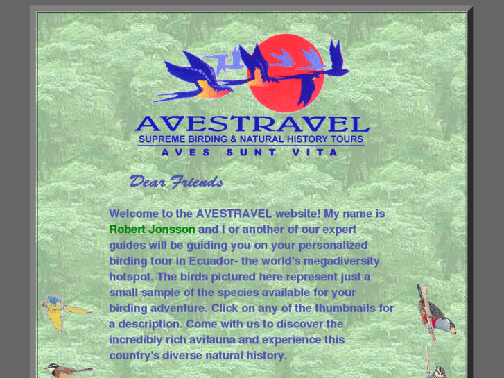 www.avestravel.com