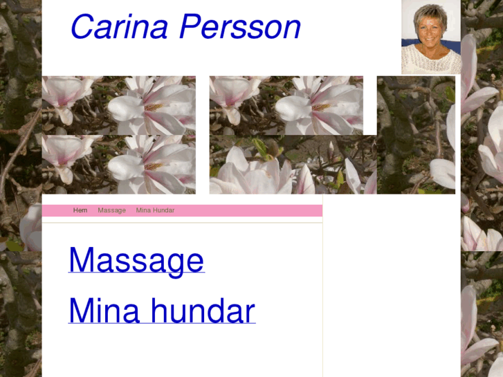 www.carinapersson.com