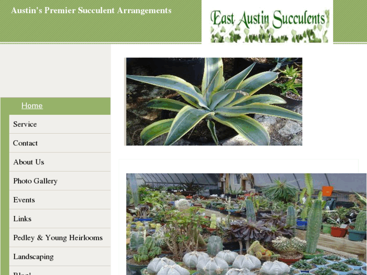 www.east-austin-succulents.com