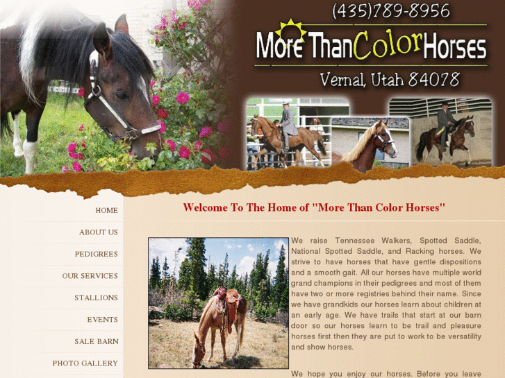 www.morethancolorhorses.com