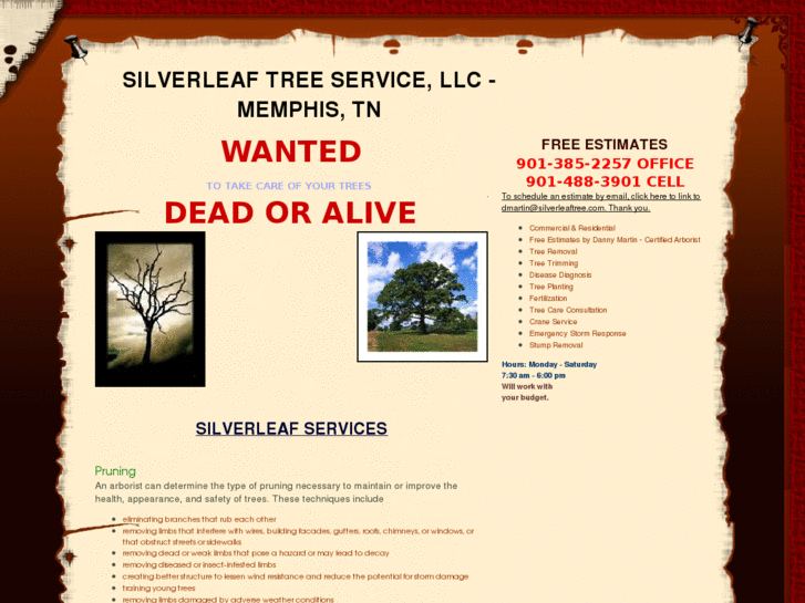 www.silverleaftree.com