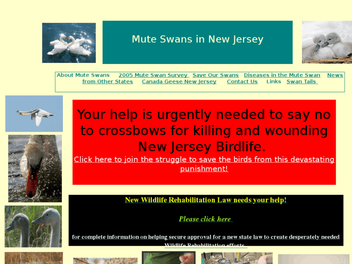 www.swansnewjersey.org