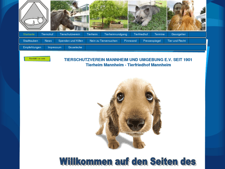 www.tierheim-mannheim.de