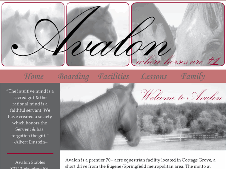 www.avalon-stables.com