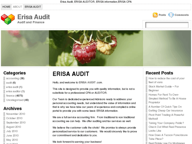 www.erisaaudit.com