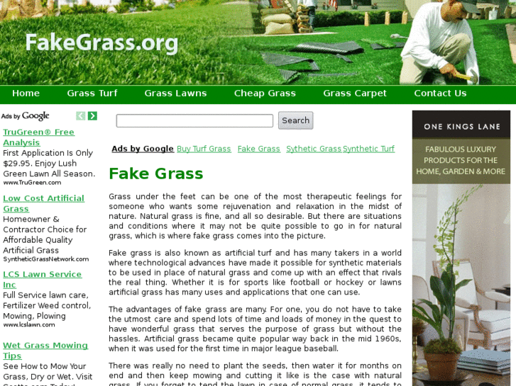 www.fakegrass.org