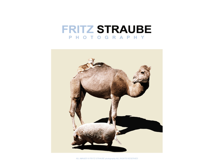 www.fritz-straube.com