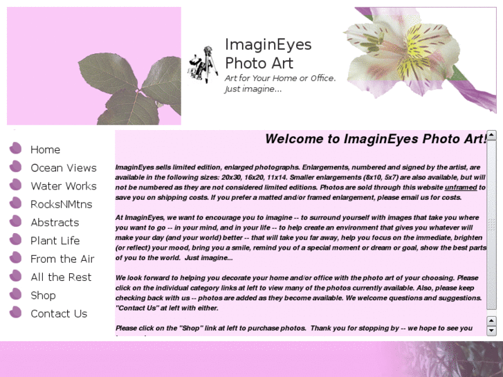 www.imagineyesphotoart.com